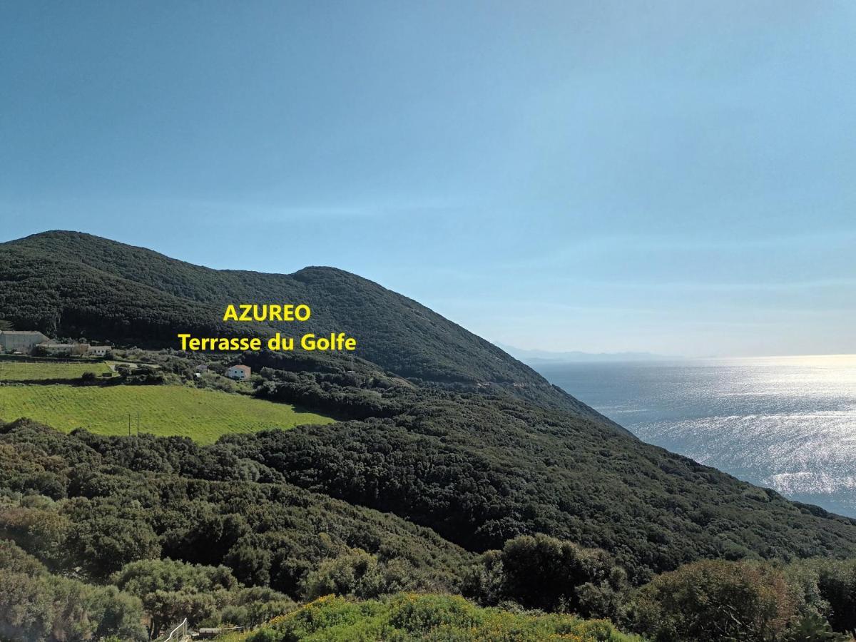 Azureo - Terrasse Du Golfe Villa Morsiglia Eksteriør billede