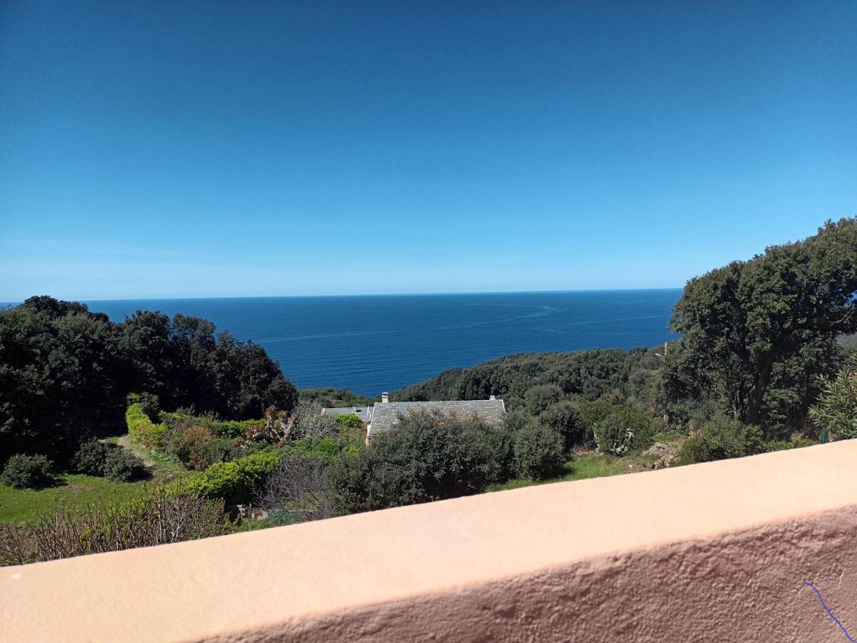 Azureo - Terrasse Du Golfe Villa Morsiglia Eksteriør billede