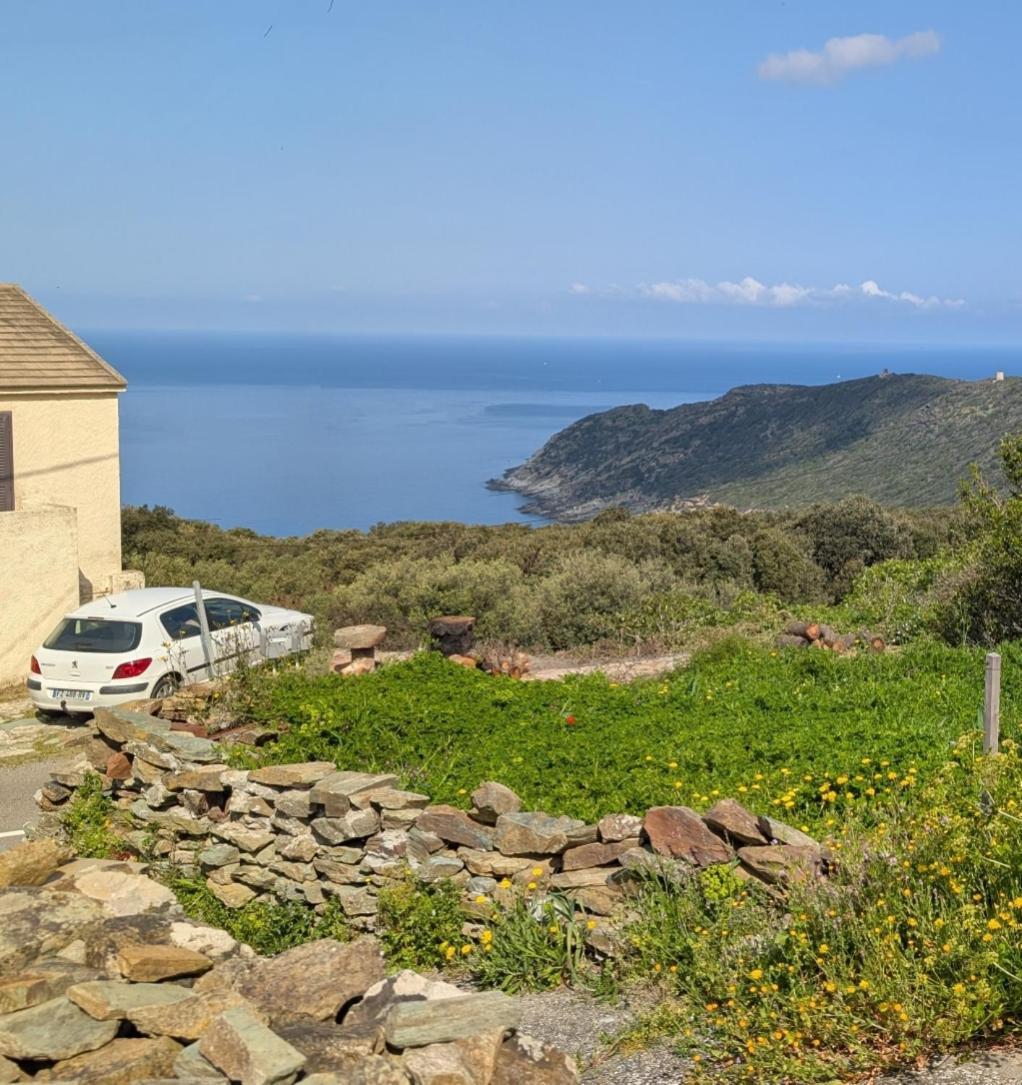 Azureo - Terrasse Du Golfe Villa Morsiglia Eksteriør billede